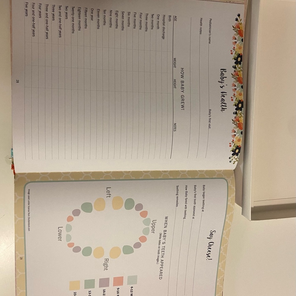 Baby's First Five Years Memory Book - image 5